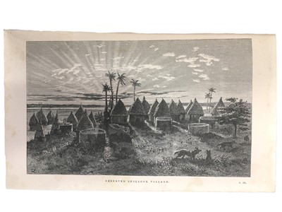 Lot 212 - Petherick: Travels in Central Africa