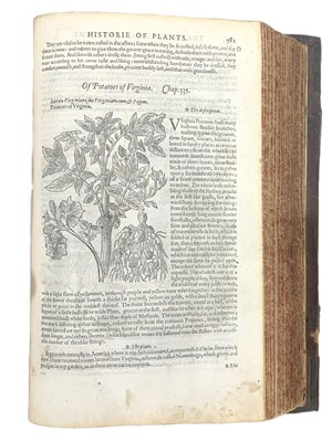 Lot 173 - Gerard: Herball. first edition. 1597