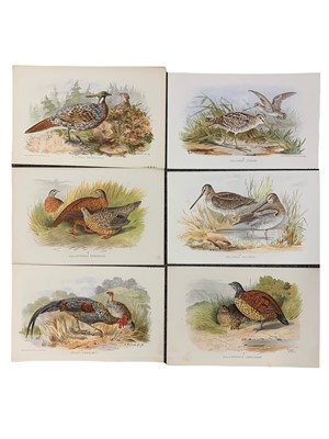 Lot 174 - Hume & Marshall: Game Birds of India, Burmah and Ceylon