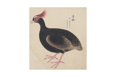 Lot 432 - ANONYMOUS, THIRTEEN JAPANESE BIRD STUDIES, KACHŌGA.