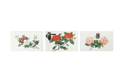 Lot 376 - THREE CHINESE PITH PAPER PAINTINGS OF FLOWERS AND BUTTERFLIES.