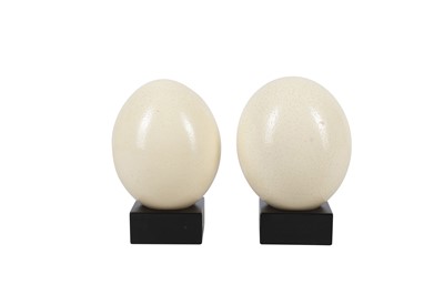 Lot 557 - A PAIR OF OSTRICH EGGS, CONTEMPORARY
