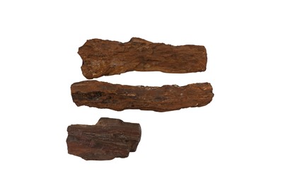 Lot 314 - NATURAL HISTORY: THREE SPECIMENS OF PETRIFIED OR FOSSILIZED WOOD