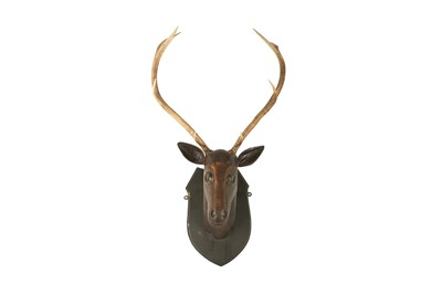 Lot 213 - A BLACK FOREST CARVED WOOD AND ANTLER STAG HEAD, LATE 19TH CENTURY