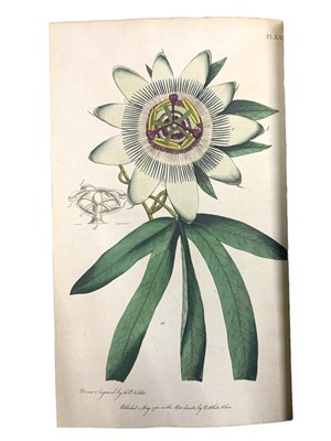 Lot 204 - Rousseau. Letters on the Elements of Botany & 38 hand-coloured plates