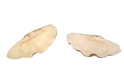 Lot 312 - TWO GIANT CLAM SHELLS (TRIDACNA GIGAS)