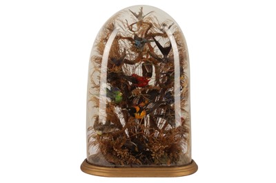 Lot 311 - A LATE VICTORIAN TAXIDERMY DIORAMA OF EXOTIC BIRDS