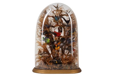 Lot 90 - A LATE VICTORIAN TAXIDERMY DIORAMA OF EXOTIC BIRDS