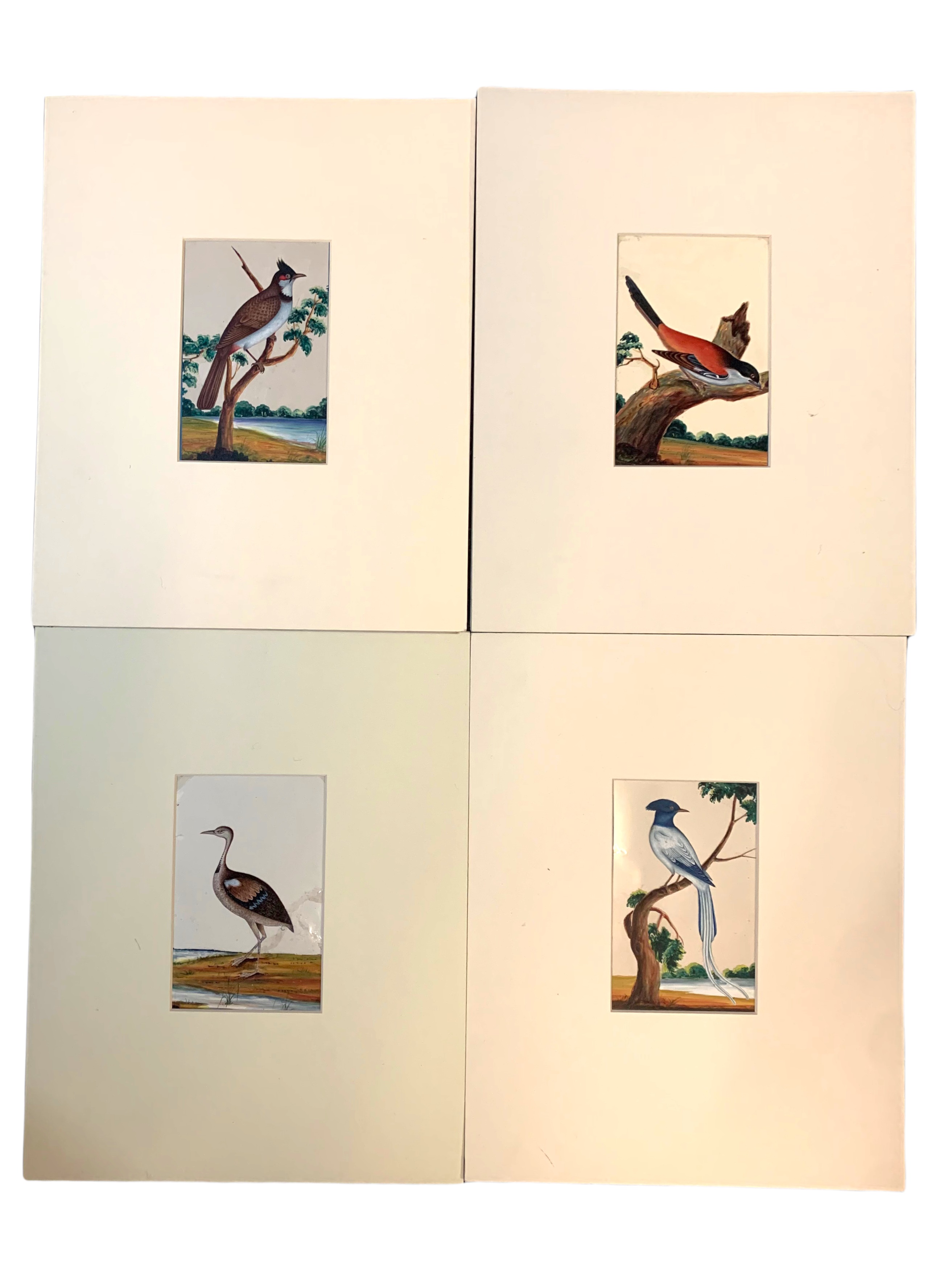 Lot 174 - Birds of India.-