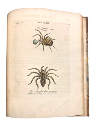 Lot 170 - Albin (Eleazar) A Natural History of Spiders and other Curious Insects