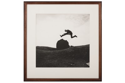 Lot 357 - Ari Ashley (xx)