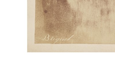 Lot 76 - Alfred Briquet (1833-1926)