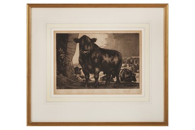 Lot 210 - Tunnicliffe (Charles Frederick) Black Angus