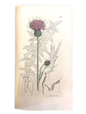Lot 206 - Sowerby (James) English Botany, Or, Coloured Figures of British Plants, 36 vol.
