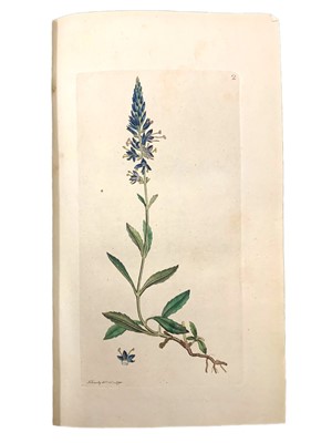 Lot 206 - Sowerby (James) English Botany, Or, Coloured Figures of British Plants, 36 vol.