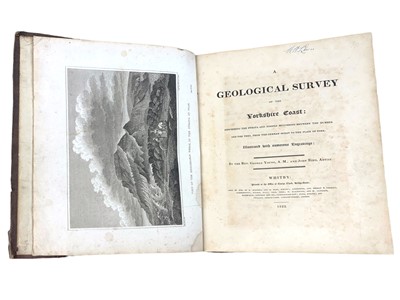 Lot 175 - British Geology.