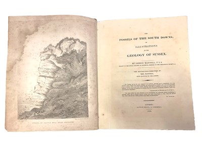 Lot 194 - Mantell (Gideon The Fossils of the South Downs; or, illustrations of the Geology of Sussex