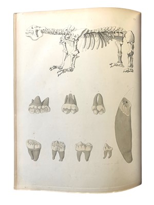 Lot 195 - Mantell (Gideon) A Pictorial Atlas of Fossil Remains