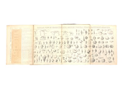 Lot 205 - Salter (J.W.) & Woodward (Henry) A Descriptive Catalogue of all the Genera and Species...