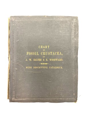 Lot 205 - Salter (J.W.) & Woodward (Henry) A Descriptive Catalogue of all the Genera and Species...