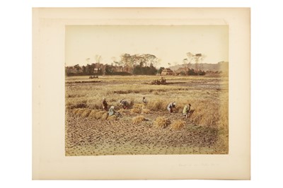 Lot 116 - Various Photographers c.1880s