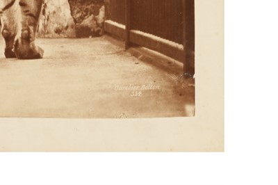 Lot 164 - Gambier Bolton (1854-1929)