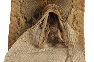 Lot 306 - TAXIDERMY: AN AFRICAN ROCK PYTHON (PYTHON SEBAE) WITH TAXIDERMY HEAD