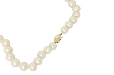 Lot 142 - A cultured pearl necklace