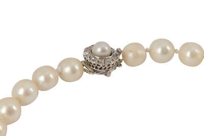 Lot 166 - A cultured pearl and diamond necklace