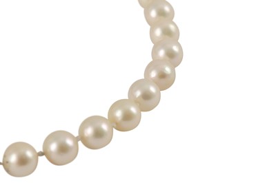 Lot 166 - A cultured pearl and diamond necklace