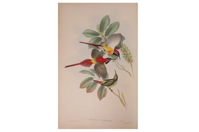 Lot 192 - Gould. Birds of Asia. vol. 2 only, 74 0f 75 hand-coloured plates
