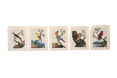 Lot 552 - FIVE MICA PAINTINGS OF EXOTIC INDIAN BIRDS
