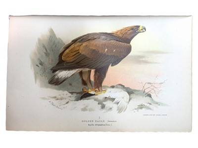 Lot 117 - Lilford, Birds of the British Islands, 1891-97