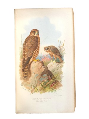 Lot 193 - Lilford, Birds of the British Islands, 1891-97