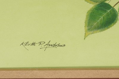 Lot 138 - KEITH P. ANDREWS (BRITISH MID LATE 20TH CENTURY)