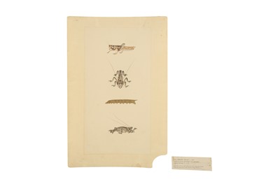 Lot 380 - A STUDY OF A LOCUST, A GRASSHOPPER, AND A CATERPILLAR