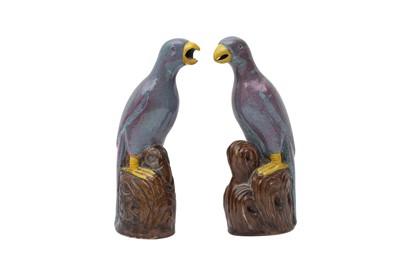 Lot 517 - A PAIR OF CHINESE ROBIN'S EGG-GLAZED MODELS OF PARROTS
