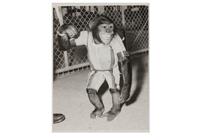 Lot 109 - Mercury Redstone 2: Ham The Chimp