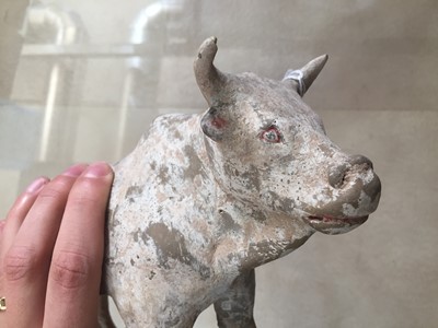 Lot 6 - A CHINESE POTTERY FIGURE OF A BULL