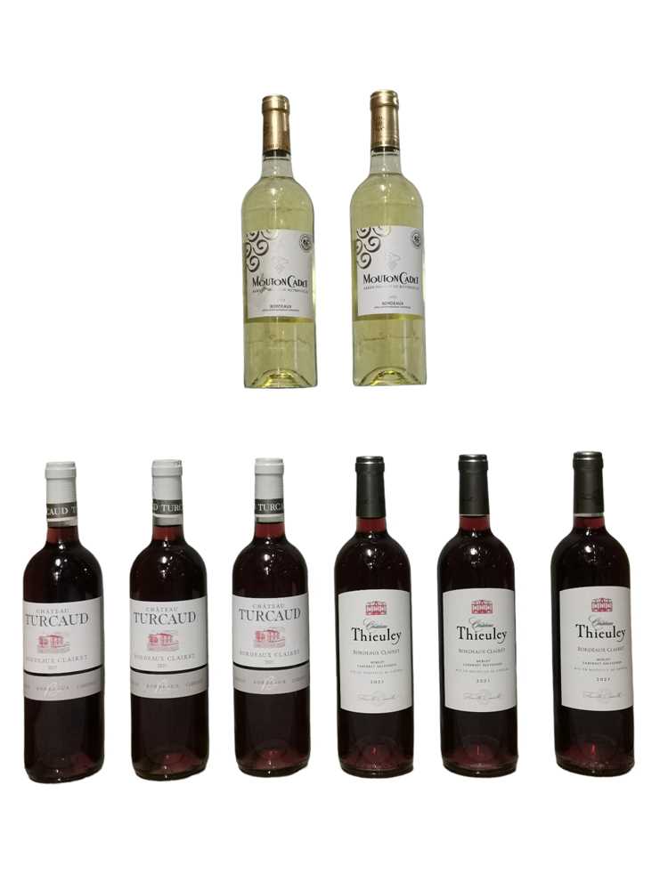 Lot 145 - Assorted 2021 red and clairet Bordeaux wines