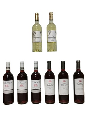 Lot 145 - Assorted 2021 red and clairet Bordeaux wines