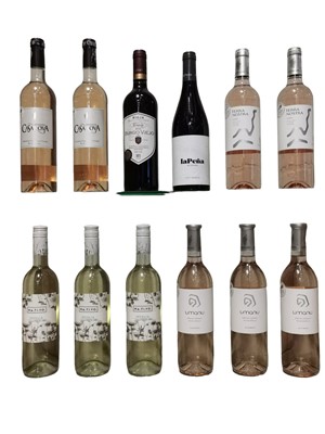 Lot 144 - Assorted Southern French, Spanish and Italian wines