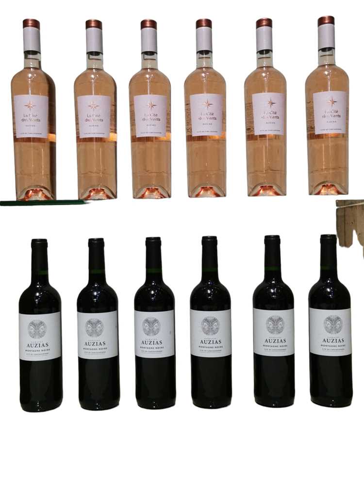 Lot 101 - Assorted red Languedoc-Rousillon wines from Chateau Auzias