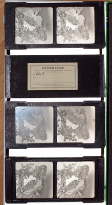 Lot 397 - A Rare Ives Stereo Kromogram. Circa 1898.