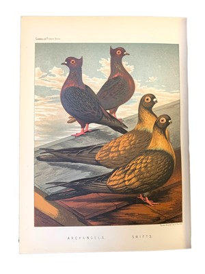 Lot 120 - Wright (Lewis, ed.) & Fulton (Robert) The Illustrated Book of Pigeons