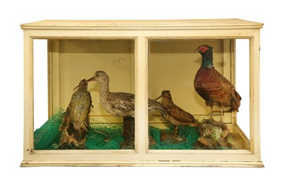Lot 665 - TAXIDERMY: A GROUP OF A PHEASANT, A SNIPE, A BIRD OF PREY, AND ANOTHER BIRD, 19TH CENTURY