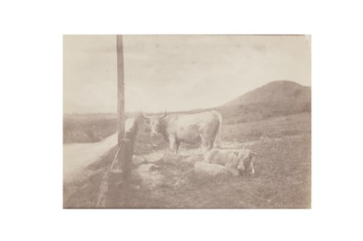 Lot 367 - Photographer Unknown c.1850s