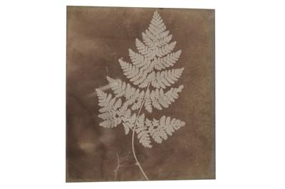 Lot 372 - School of William Henry Fox Talbot c.1840s