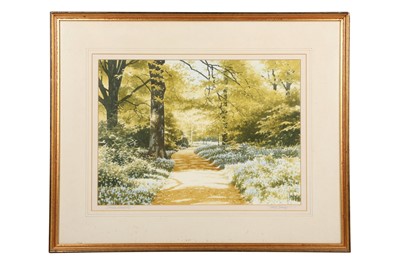 Lot 542 - TERRY BAILEY (B. 1941)
