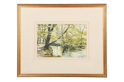 Lot 542 - TERRY BAILEY (B. 1941)